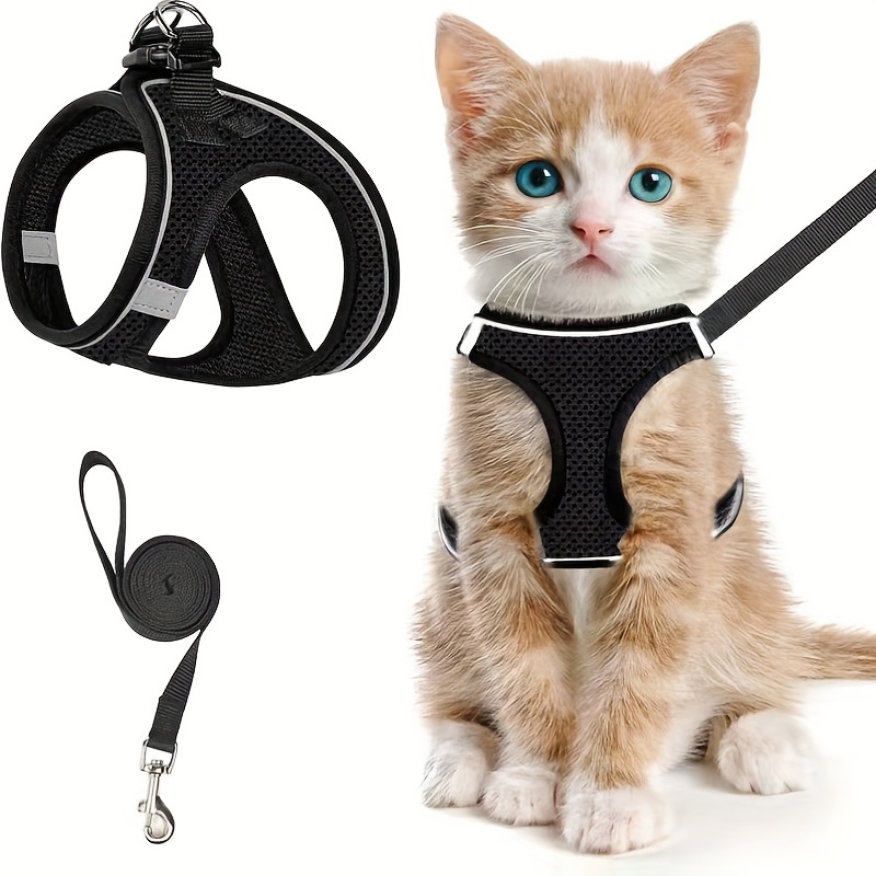 Escape-Proof Cat Harness & Lea - Outdoor Adventure Kit reseña y precio