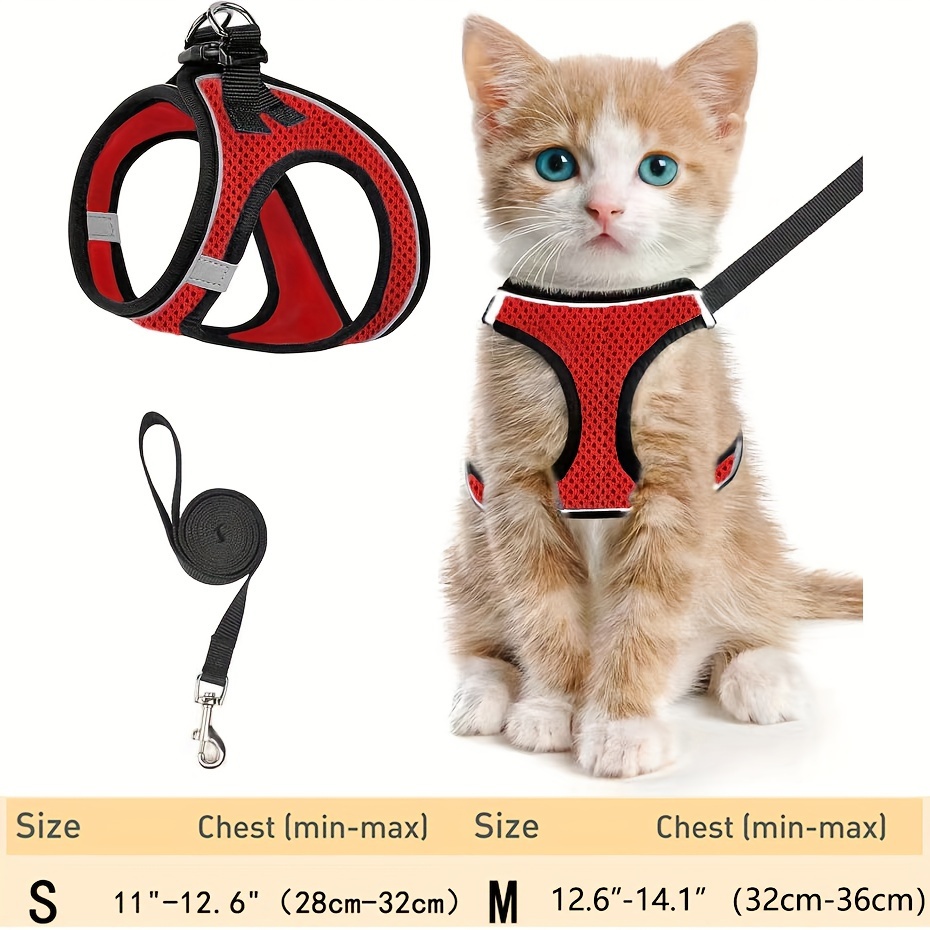 Escape-Proof Cat Harness & Lea - Outdoor Adventure Kit reseña y precio