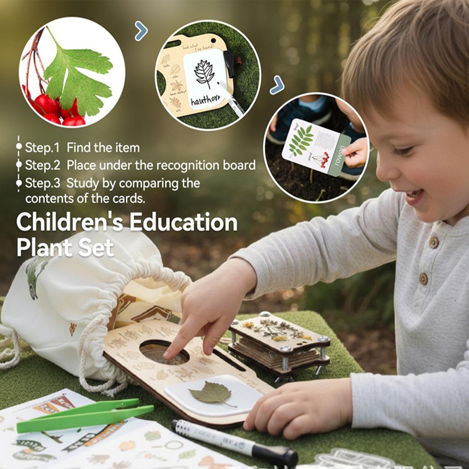 Outdoor Exploration Toys Plant - Outdoor Adventure Activities For Kids reseña y precio