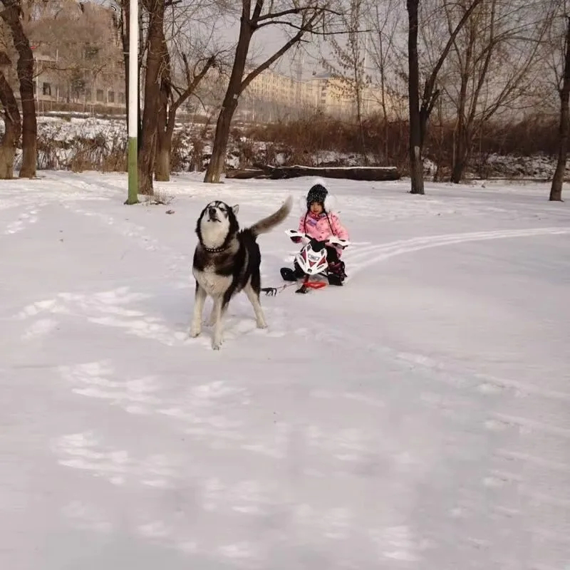 Winter Outdoor Ski Equipment – - Outdoor Adventure Resorts reseña y precio